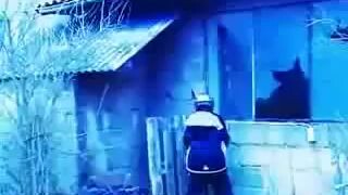 Echter Gangster - Die Mörderische Jagd [Subtitles available]