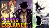 All S Rank Hunters in Solo Leveling and Their Powers | Solo Leveling