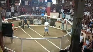malatuba banderado