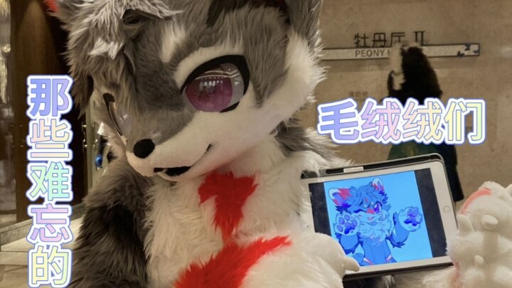 漫画/动漫里的毛绒绒们！你知道TA们嘛？