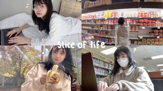 Slice of Life: Realistic week of uni, Simple Fall Days, Cleaning & Grocery Shopping