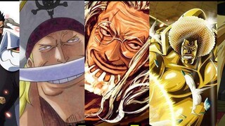 [Hoạt hình] Đề nghị đổi thành: Chiến lực vương mạnh nhất One Piece!