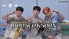 Seventeen BooSeokSoon (BSS) Playlist