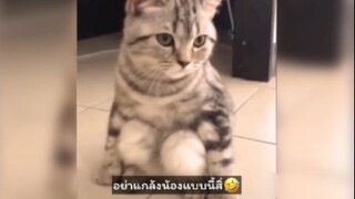 ไม่รู้จะขำหรือสงสารดีนะ
