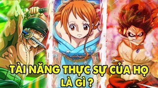 Zoro Biết Sửa Tàu, Luffy Thì Đầu Đất, Những Tài Lẻ Của Các Thành Viên Băng Mũ Rơm