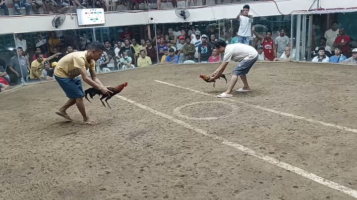 1ST FIGHT TEXAS MARIKINA COCK  WIN