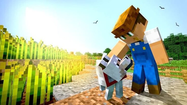 Life of a Farmer (Minecraft Movie)