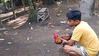 Papawis daw sabi ng tropa natin🫰