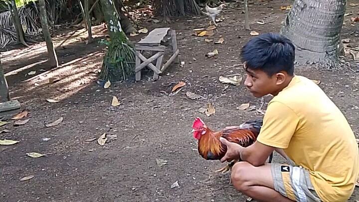 Papawis daw sabi ng tropa natin🫰