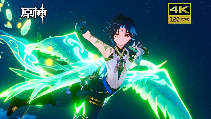 【原神】所有角色换成闲云技能，御风飞行！