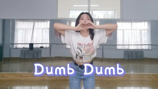 【Dumb Dumb】Somi新歌翻跳