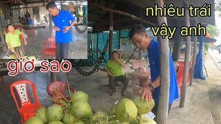 Mua Dừa Mà Khịa Kiểu Này Là Tới Công Chuyện Với Tôi