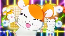 Pasti Kalian Kenal Sosok Imut dan Lincah Ini Kan? ya Hamtaro