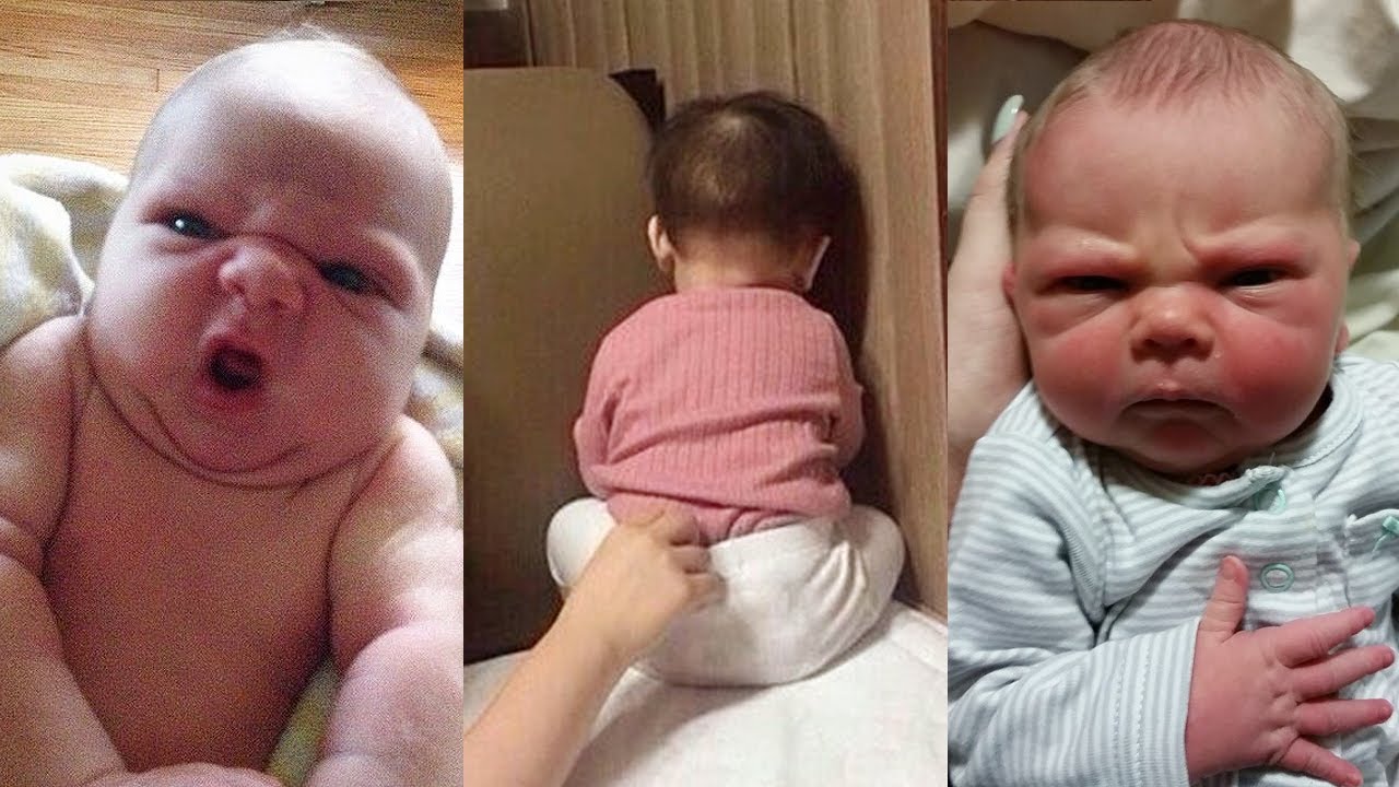 Funniest and Cutest Babies Video of the Weekly 