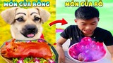 Thú Cưng Vlog | Bông Ham Ăn và Bí Ngô #11 | Chó thông minh vui nhộn | Smart dog funny pets