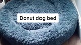 No wonder I don’t sleep at night 🤪 funnydogs
