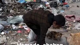 anak-anak gaza ngasih makan kucing