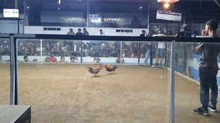 2nd fight in lemery cockpit arena 2hits.. WIN champion