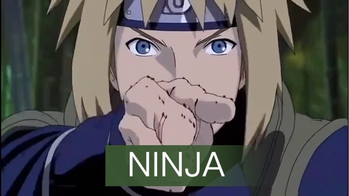 Ninja Style