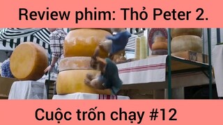 Review phim: Thỏ Peter Cuộc Trốn Chạy Phần 12