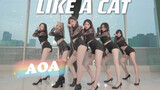 Ulasan Klasik, Cover Tarian "Like a Cat"-AOA