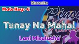 Tunay Na Mahal by Lani Misalucha (Karaoke : Male Key : -6)