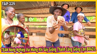 Chăn Nuôi || Team Nông Nghiệp Vui Mừng Khi Gây Thành Công Giống Lợn BRAZIL