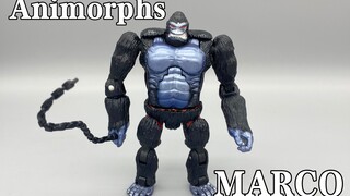 Transformers Seri Animorphs/transformator hewan, MARCO/Mark yang berbentuk gorila