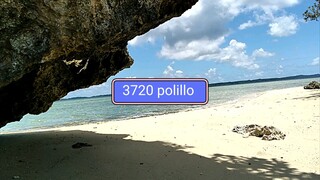 3720 polillo