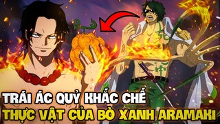 TRÁI ÁC QUỶ HỆ LỬA LÀ KHẮC TINH CỦA BÒ XANH ARAMAKI?! | NHỮNG TRÁI ÁC QUỶ KHẮC ĐÔ ĐỐC RYOKUGYU