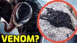 The REAL Venom Symbiote Explained