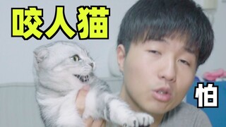 碰见比老婆还凶的猫怎么办？用这几招 办她！