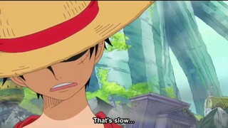 MOMENT LUFFY