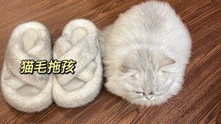 Kucing: Kamu tidak akan menggunakan rambutku untuk membuat sandal, kan?