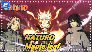 NATURO|【1080 P】Collection of maple leaf! Blow up your cranium!_2