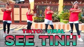 SEE TINH - Tiktok Viral | Dance Fitness Remix | Stepkrew Girls