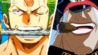 Bí Ẩn Sức Mạnh Mắt Trái Của Zoro - Đôi Mắt Thừa Hưởng Từ Mihawk-P4