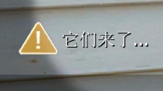 求生之路玩家的破防瞬间#4
