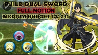 Toram Online - New Build DS Lv.245 | Full Motion | Mid Budget !!