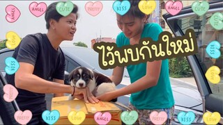 โลกของแสนดี ตอน ส่งน้องสาวตัวสุดท้าย