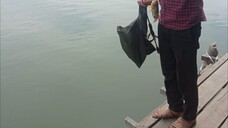 rwneged motor terbaru