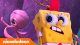 Kamp Koral | SpongeBob vangt voor het eerst een kwal! | Nickelodeon Nederlands