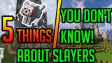 5 THINGS ONLY OG PLAYERS KNOW!!! | Hypixel Skyblock Guide