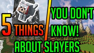 5 THINGS ONLY OG PLAYERS KNOW!!! | Hypixel Skyblock Guide