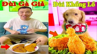 Thú Cưng TV | Tứ Mao Đại Náo #34 | Chó Golden Gâu Đần thông minh vui nhộn | Pets cute smart dog