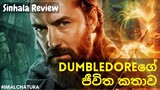 Dumbledoreගේ ජීවිත කතාව | The Secrets of Dumbledore Movie එකට කලින් - Sinhala Review