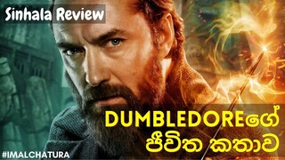 Dumbledoreගේ ජීවිත කතාව | The Secrets of Dumbledore Movie එකට කලින් - Sinhala Review