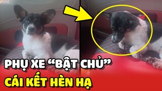 Chú chó PHỤ XE có âm mưu "BẬT CHỦ" và cái kết đầy HÈN HẠ 😂 | Yêu Lu