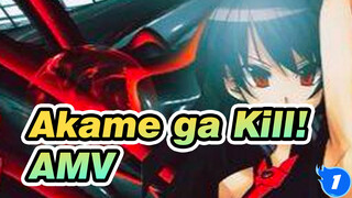 [Akame ga Kill! AMV] Sword & Fire, Blood & Tears_1