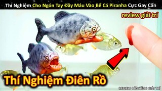 Thí Nghiệm Cho Ngón Tay Đầy M.áu Vào Bể Cá Piranha Cực Kinh Dị || Review Giải Trí Đời Sống